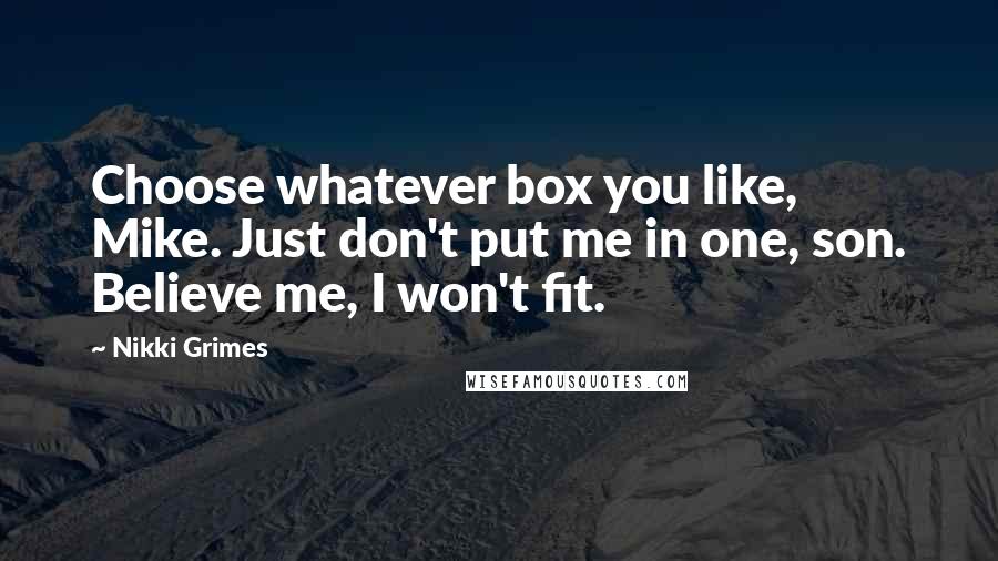 Nikki Grimes Quotes: Choose whatever box you like, Mike. Just don't put me in one, son. Believe me, I won't fit.