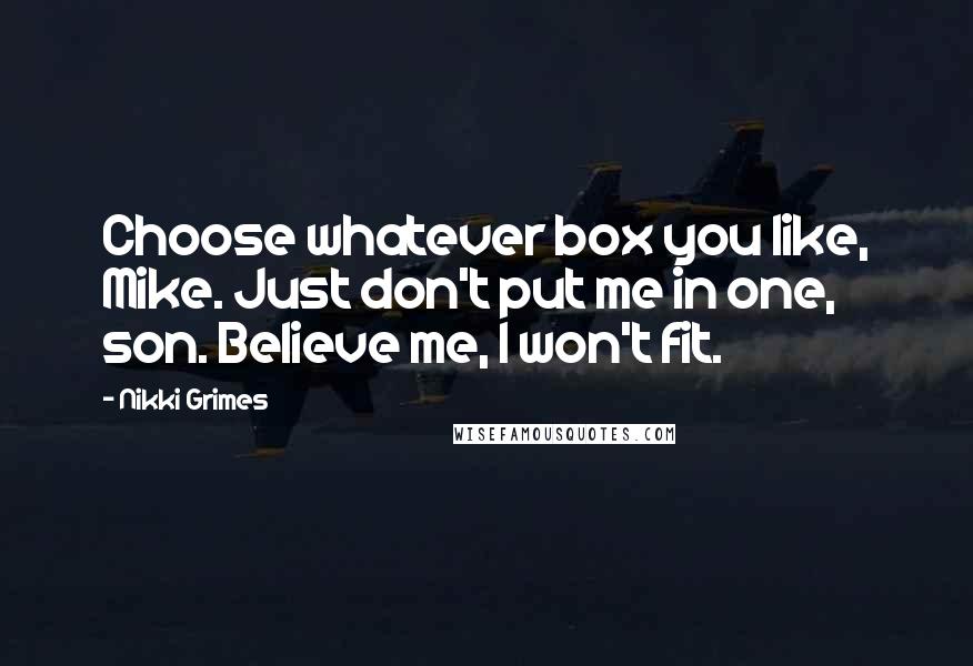 Nikki Grimes Quotes: Choose whatever box you like, Mike. Just don't put me in one, son. Believe me, I won't fit.