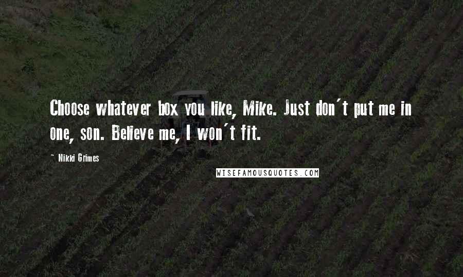 Nikki Grimes Quotes: Choose whatever box you like, Mike. Just don't put me in one, son. Believe me, I won't fit.