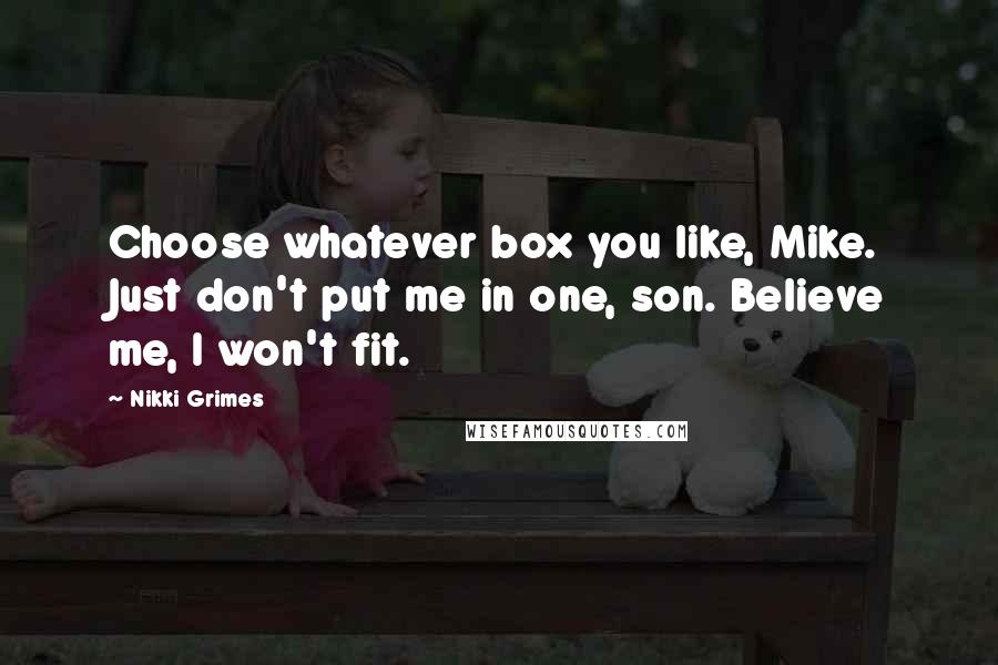 Nikki Grimes Quotes: Choose whatever box you like, Mike. Just don't put me in one, son. Believe me, I won't fit.