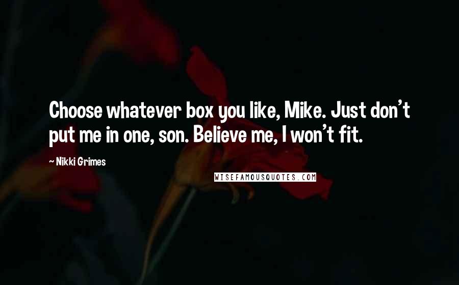 Nikki Grimes Quotes: Choose whatever box you like, Mike. Just don't put me in one, son. Believe me, I won't fit.