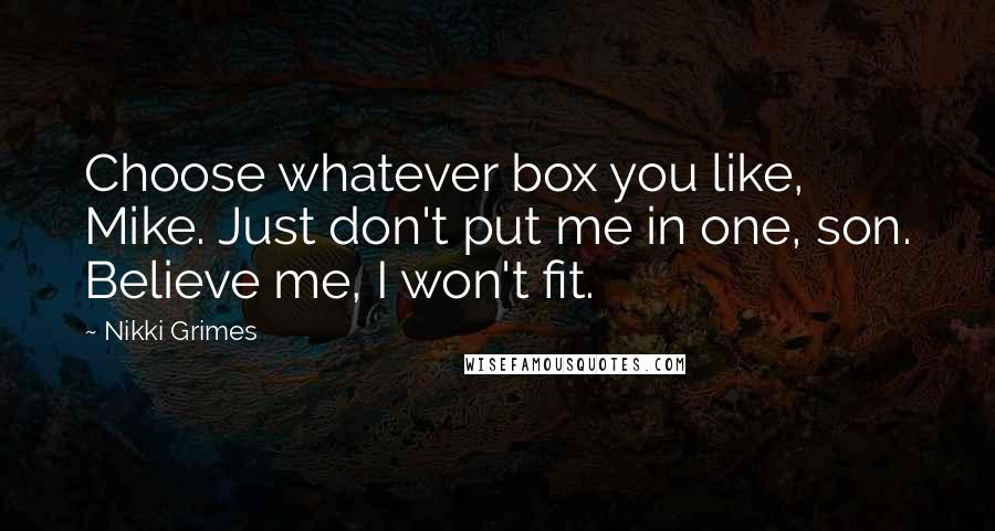 Nikki Grimes Quotes: Choose whatever box you like, Mike. Just don't put me in one, son. Believe me, I won't fit.