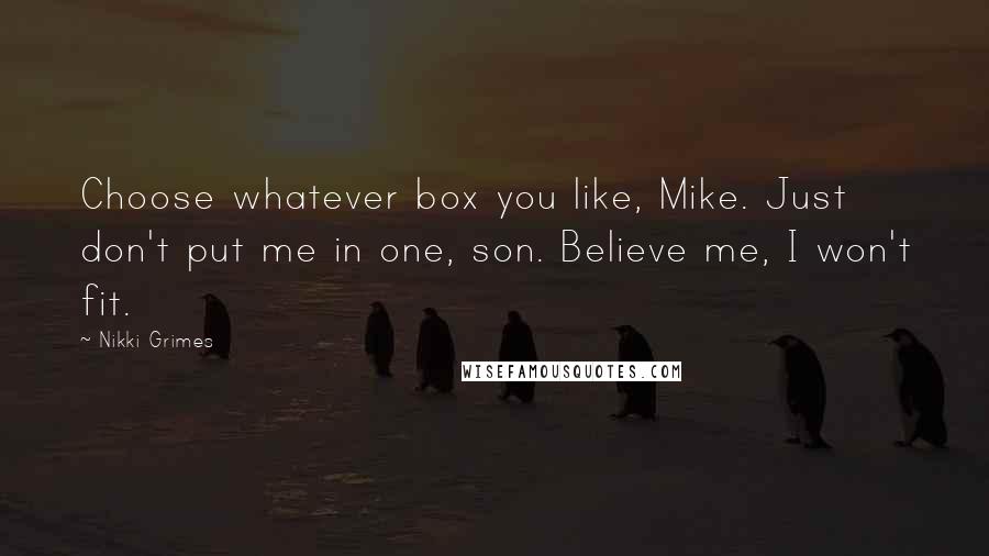 Nikki Grimes Quotes: Choose whatever box you like, Mike. Just don't put me in one, son. Believe me, I won't fit.