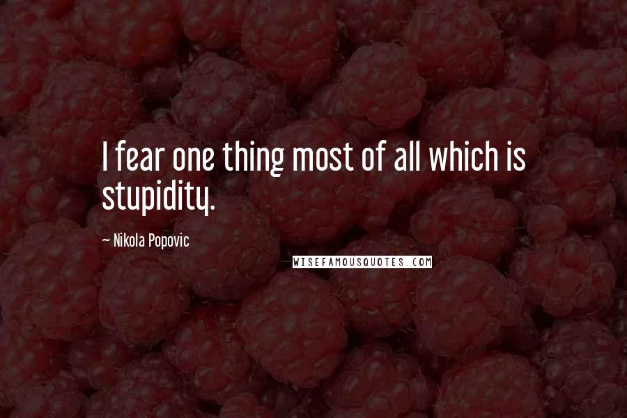 Nikola Popovic Quotes: I fear one thing most of all which is stupidity.