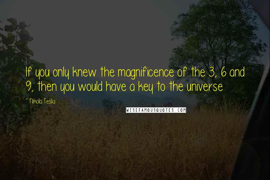Nikola Tesla Quotes: If you only knew the magnificence of the 3, 6 and 9, then you would have a key to the universe
