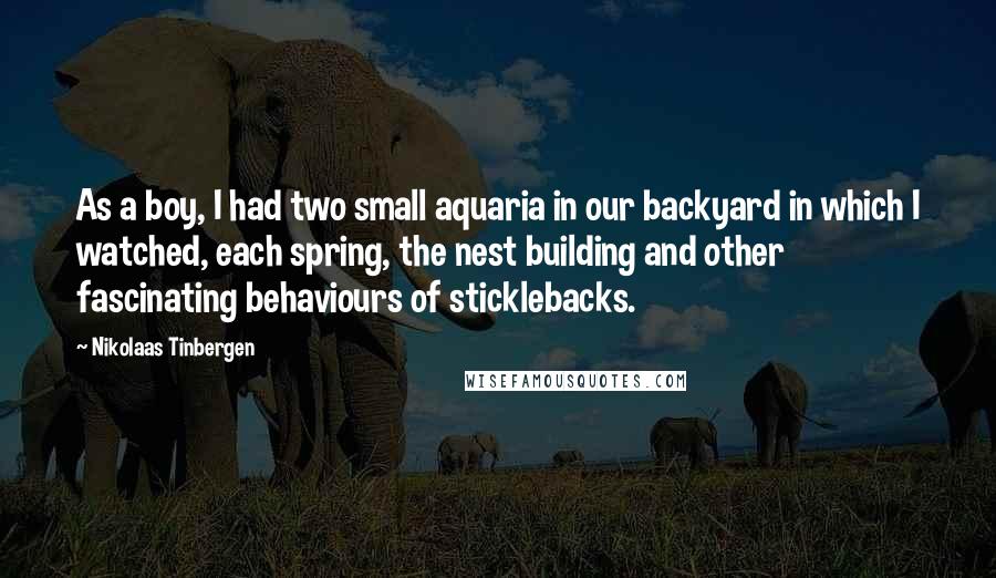 Nikolaas Tinbergen Quotes: As a boy, I had two small aquaria in our backyard in which I watched, each spring, the nest building and other fascinating behaviours of sticklebacks.
