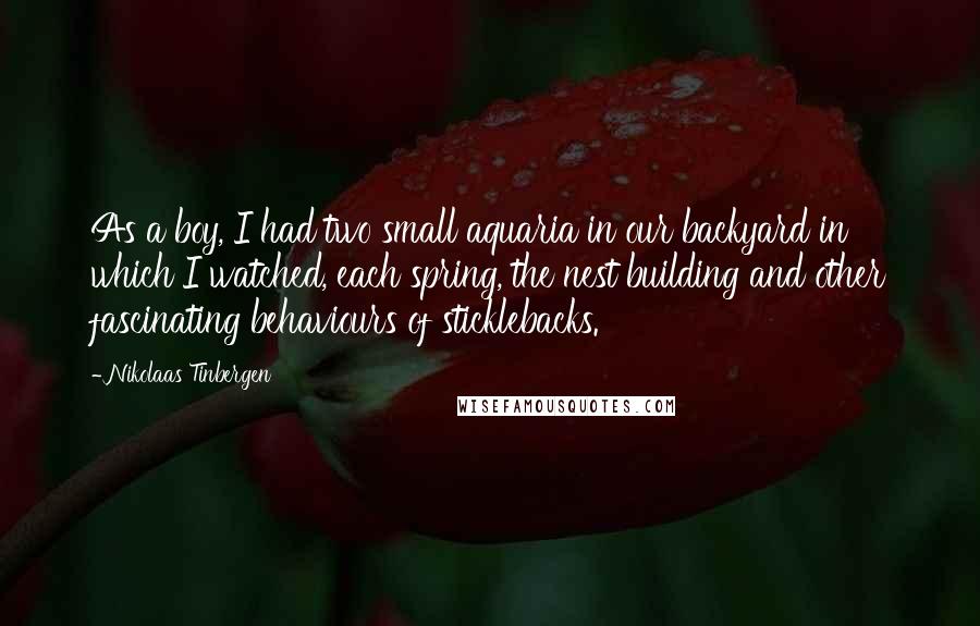 Nikolaas Tinbergen Quotes: As a boy, I had two small aquaria in our backyard in which I watched, each spring, the nest building and other fascinating behaviours of sticklebacks.