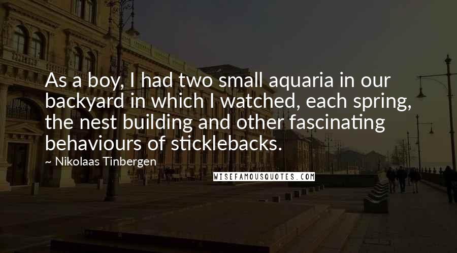 Nikolaas Tinbergen Quotes: As a boy, I had two small aquaria in our backyard in which I watched, each spring, the nest building and other fascinating behaviours of sticklebacks.