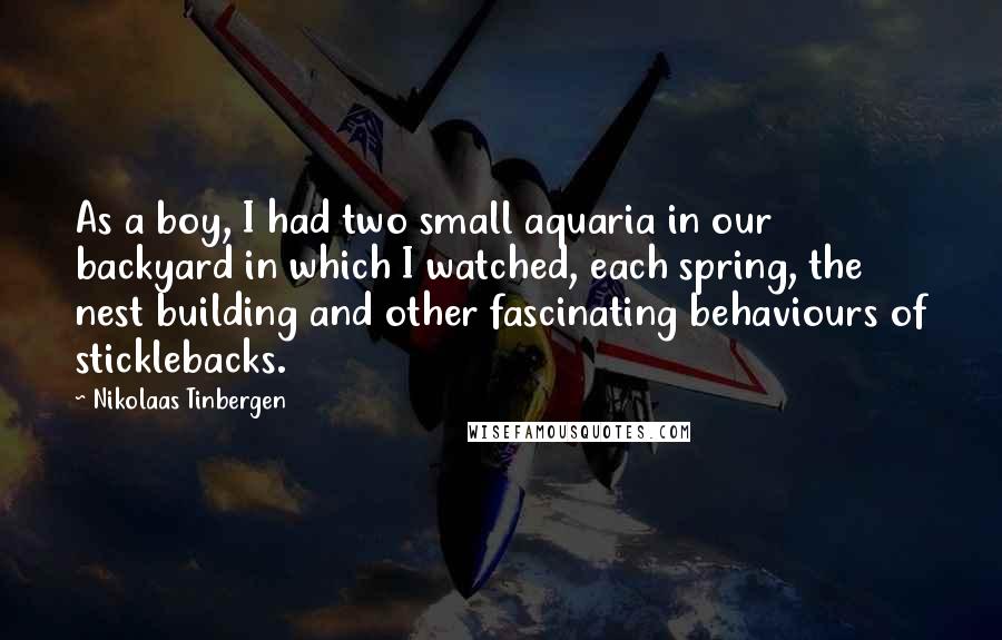 Nikolaas Tinbergen Quotes: As a boy, I had two small aquaria in our backyard in which I watched, each spring, the nest building and other fascinating behaviours of sticklebacks.