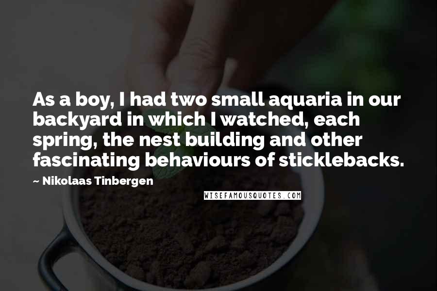 Nikolaas Tinbergen Quotes: As a boy, I had two small aquaria in our backyard in which I watched, each spring, the nest building and other fascinating behaviours of sticklebacks.