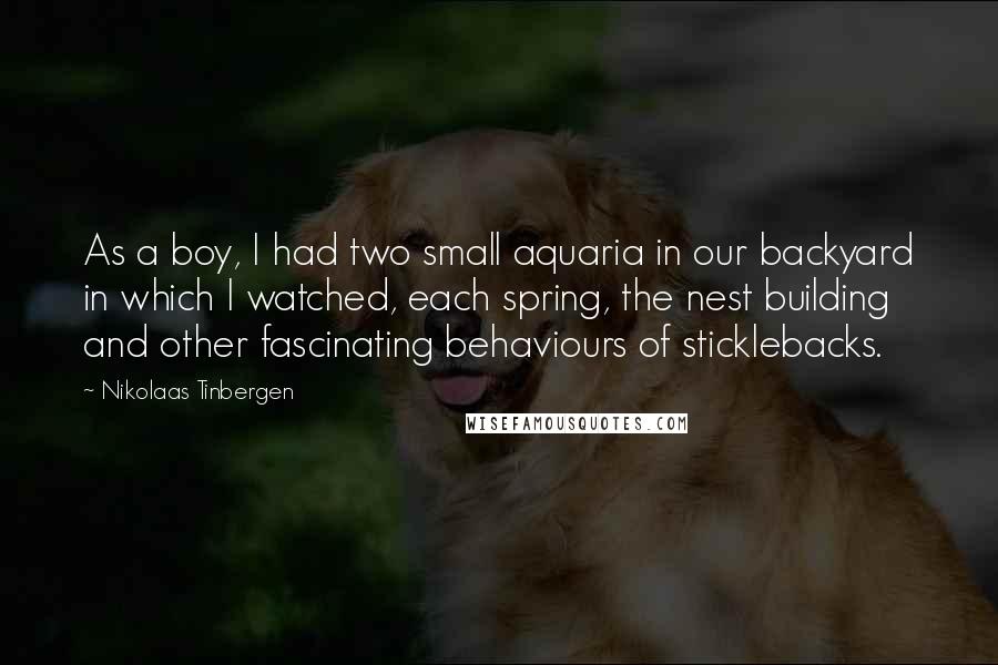 Nikolaas Tinbergen Quotes: As a boy, I had two small aquaria in our backyard in which I watched, each spring, the nest building and other fascinating behaviours of sticklebacks.