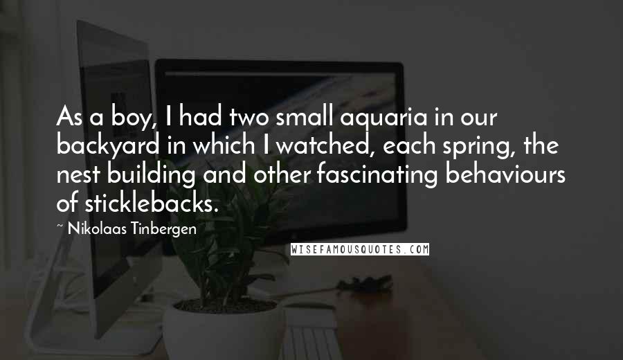 Nikolaas Tinbergen Quotes: As a boy, I had two small aquaria in our backyard in which I watched, each spring, the nest building and other fascinating behaviours of sticklebacks.