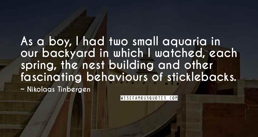 Nikolaas Tinbergen Quotes: As a boy, I had two small aquaria in our backyard in which I watched, each spring, the nest building and other fascinating behaviours of sticklebacks.