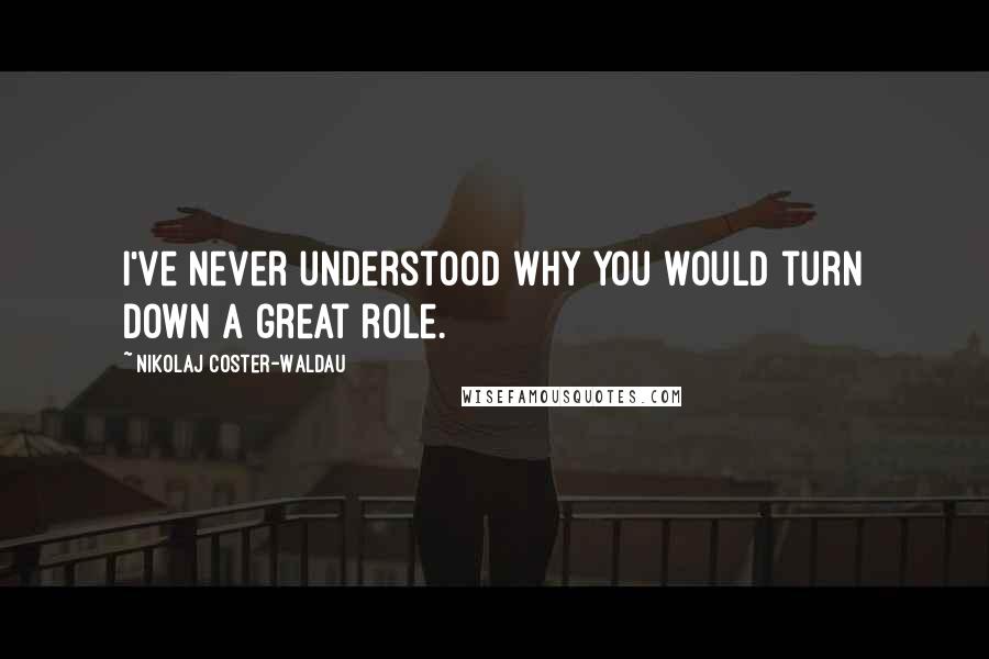 Nikolaj Coster-Waldau Quotes: I've never understood why you would turn down a great role.