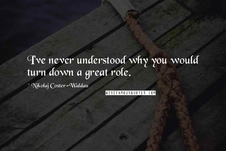 Nikolaj Coster-Waldau Quotes: I've never understood why you would turn down a great role.