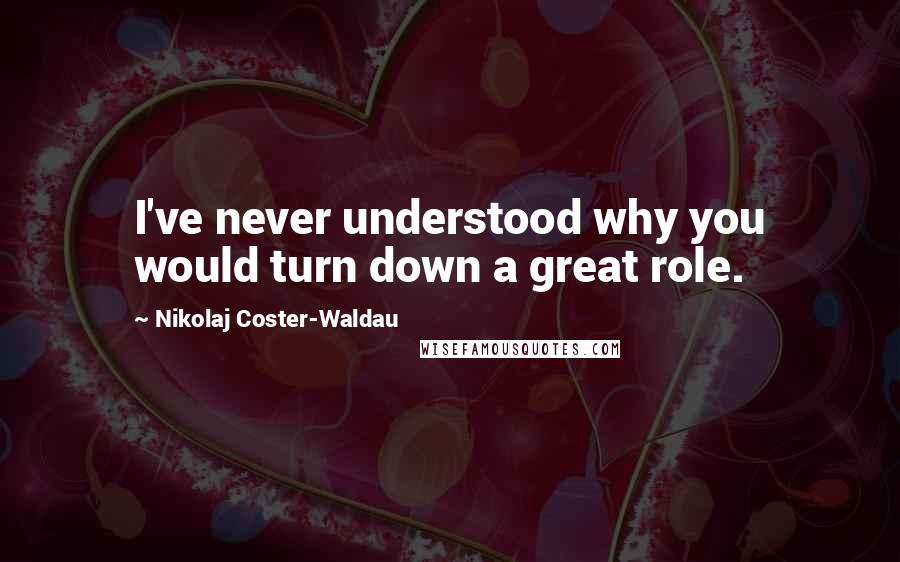 Nikolaj Coster-Waldau Quotes: I've never understood why you would turn down a great role.