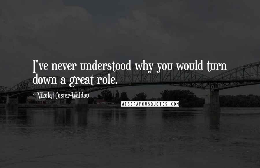 Nikolaj Coster-Waldau Quotes: I've never understood why you would turn down a great role.