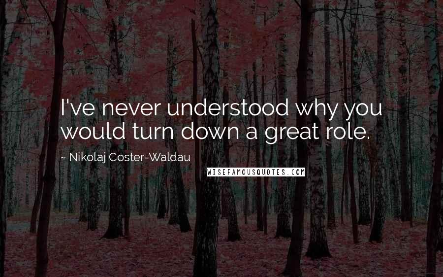 Nikolaj Coster-Waldau Quotes: I've never understood why you would turn down a great role.