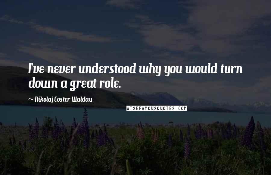 Nikolaj Coster-Waldau Quotes: I've never understood why you would turn down a great role.