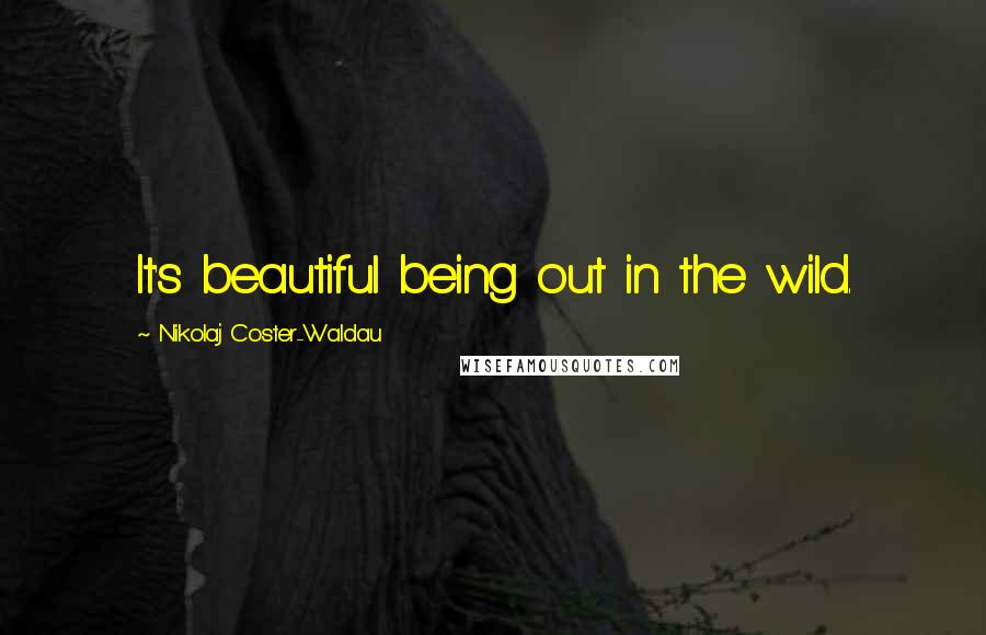 Nikolaj Coster-Waldau Quotes: It's beautiful being out in the wild.