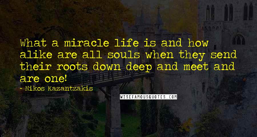 Nikos Kazantzakis Quotes: What a miracle life is and how alike are all souls when they send their roots down deep and meet and are one!