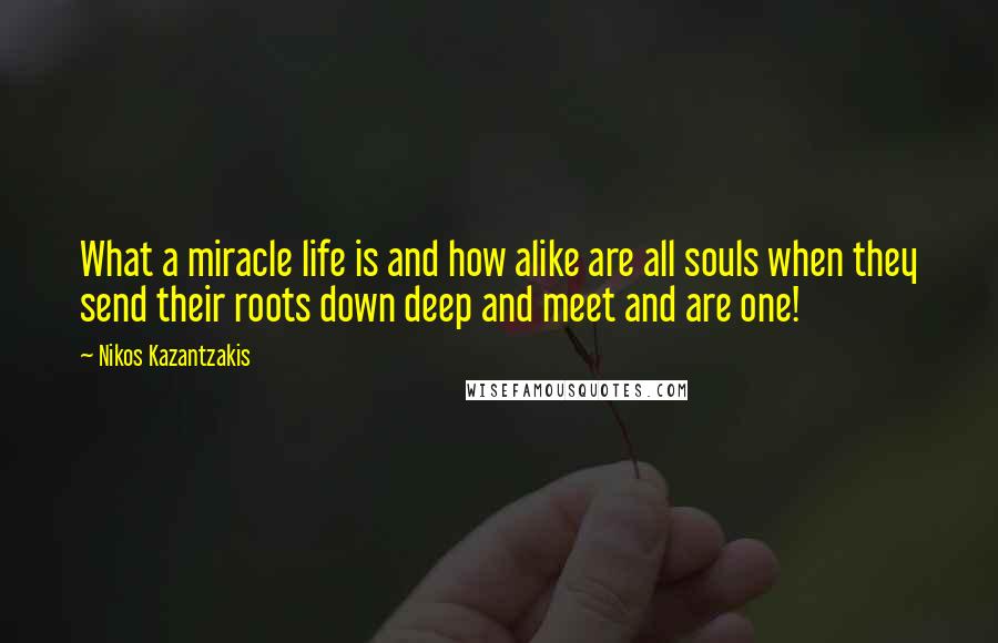 Nikos Kazantzakis Quotes: What a miracle life is and how alike are all souls when they send their roots down deep and meet and are one!