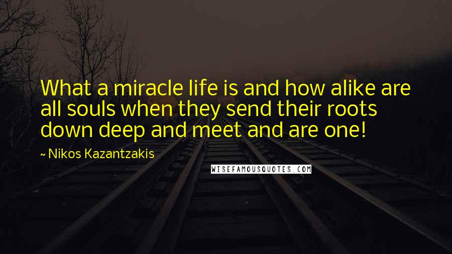 Nikos Kazantzakis Quotes: What a miracle life is and how alike are all souls when they send their roots down deep and meet and are one!