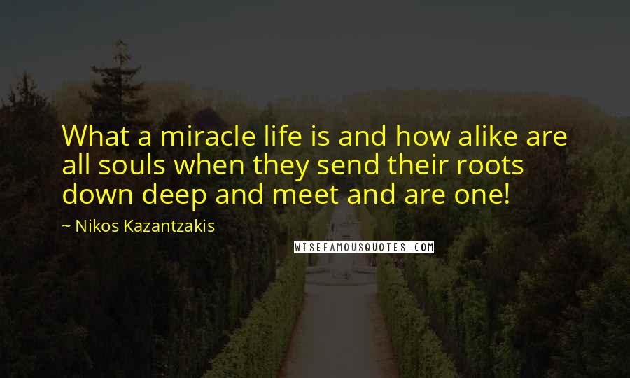 Nikos Kazantzakis Quotes: What a miracle life is and how alike are all souls when they send their roots down deep and meet and are one!