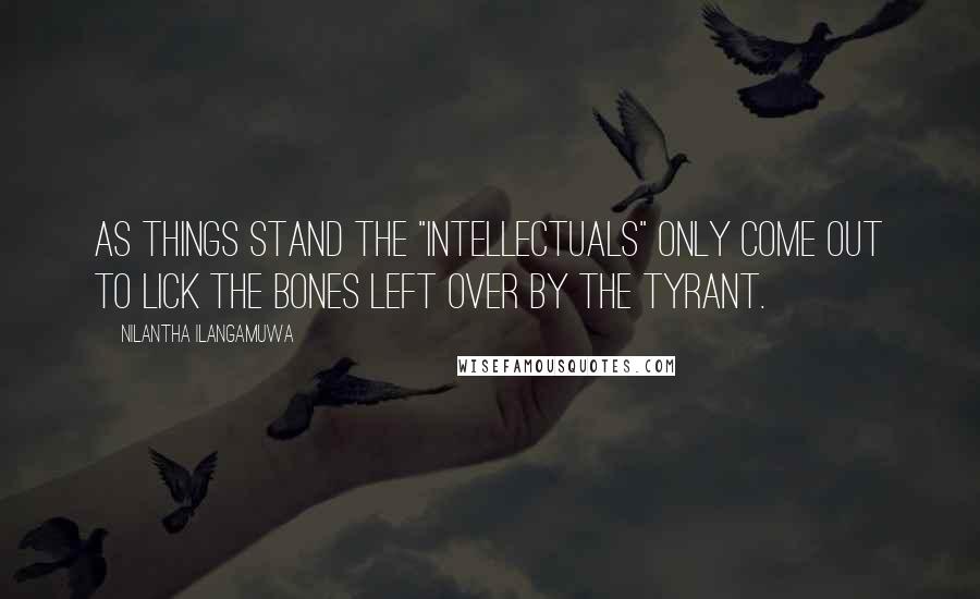 Nilantha Ilangamuwa Quotes: As things stand the "intellectuals" only come out to lick the bones left over by the tyrant.