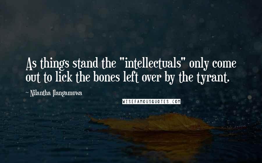 Nilantha Ilangamuwa Quotes: As things stand the "intellectuals" only come out to lick the bones left over by the tyrant.