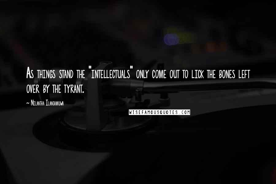 Nilantha Ilangamuwa Quotes: As things stand the "intellectuals" only come out to lick the bones left over by the tyrant.