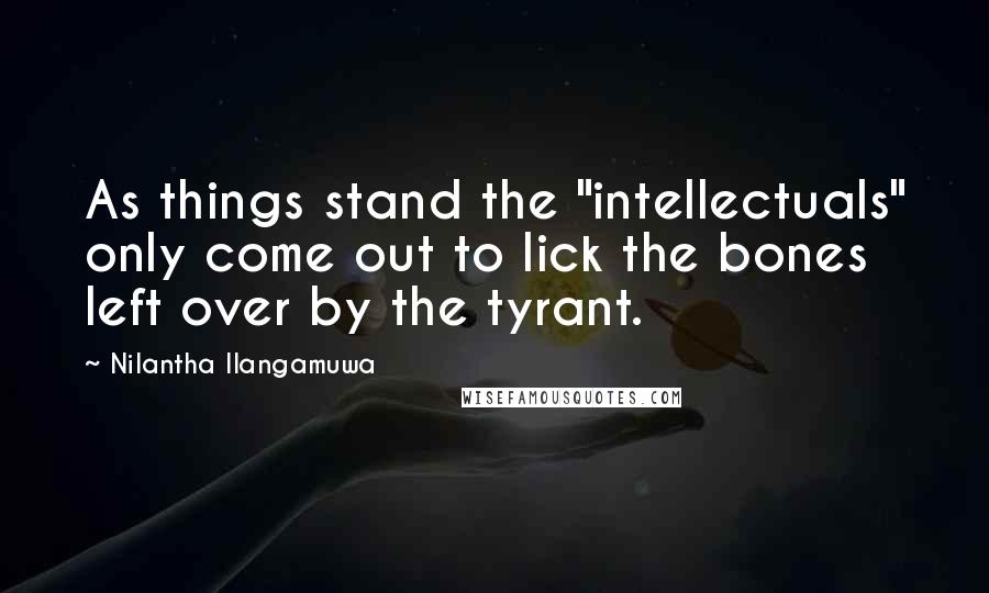 Nilantha Ilangamuwa Quotes: As things stand the "intellectuals" only come out to lick the bones left over by the tyrant.