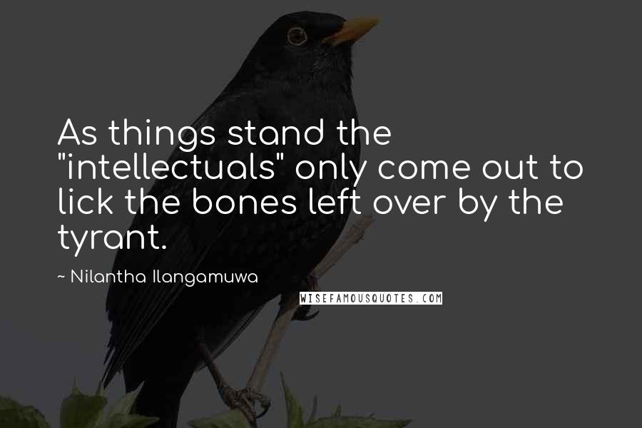 Nilantha Ilangamuwa Quotes: As things stand the "intellectuals" only come out to lick the bones left over by the tyrant.