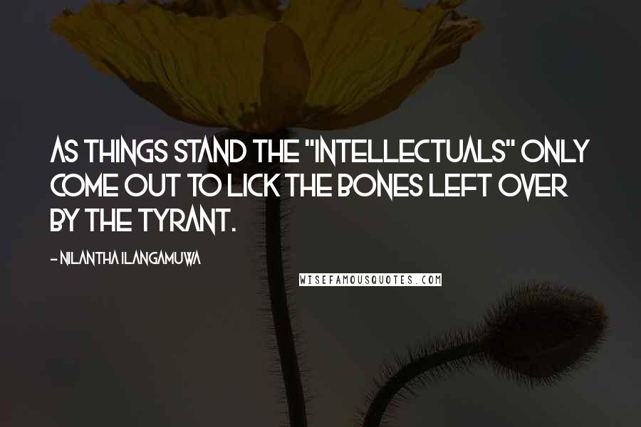 Nilantha Ilangamuwa Quotes: As things stand the "intellectuals" only come out to lick the bones left over by the tyrant.