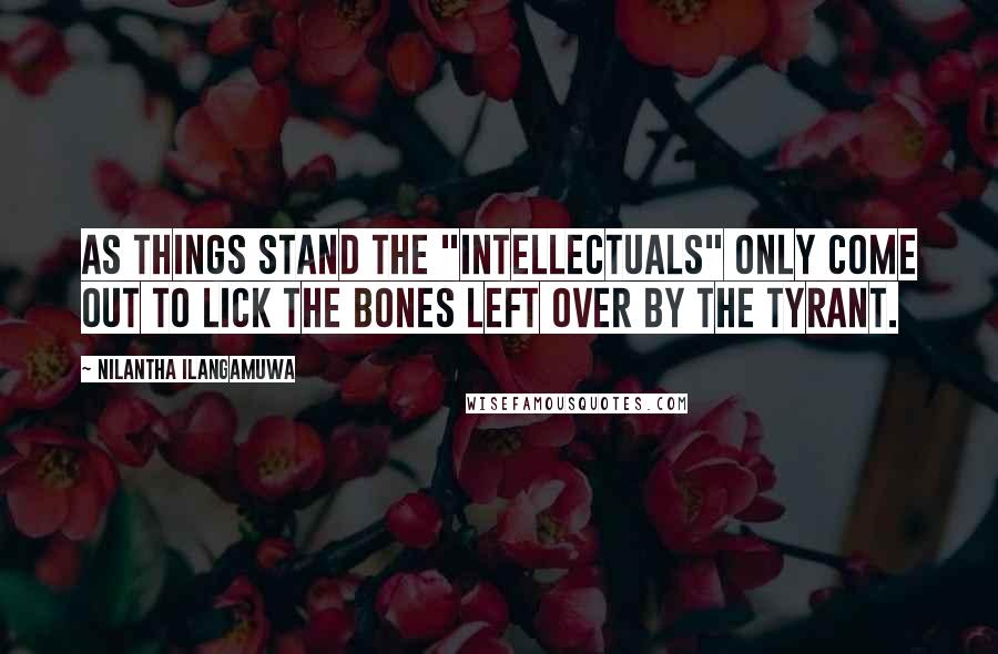 Nilantha Ilangamuwa Quotes: As things stand the "intellectuals" only come out to lick the bones left over by the tyrant.