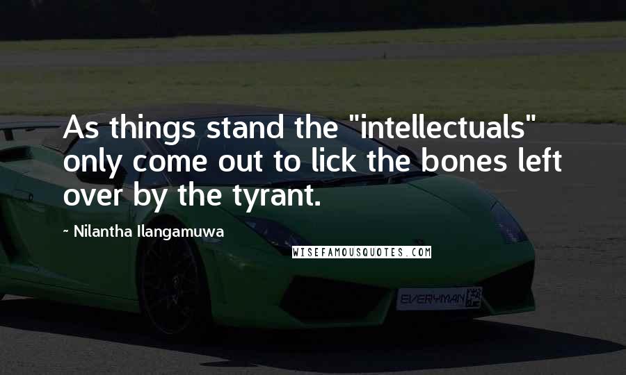 Nilantha Ilangamuwa Quotes: As things stand the "intellectuals" only come out to lick the bones left over by the tyrant.