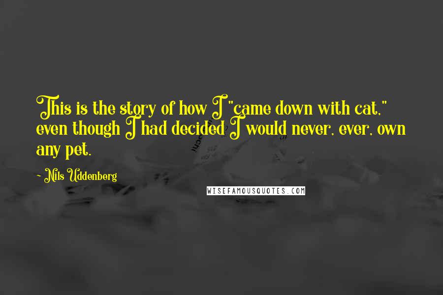 Nils Uddenberg Quotes: This is the story of how I "came down with cat," even though I had decided I would never, ever, own any pet.