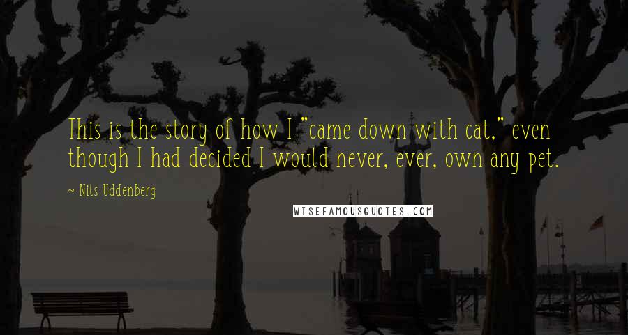 Nils Uddenberg Quotes: This is the story of how I "came down with cat," even though I had decided I would never, ever, own any pet.