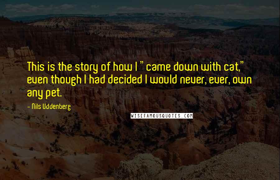 Nils Uddenberg Quotes: This is the story of how I "came down with cat," even though I had decided I would never, ever, own any pet.