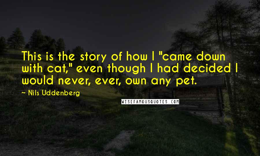 Nils Uddenberg Quotes: This is the story of how I "came down with cat," even though I had decided I would never, ever, own any pet.