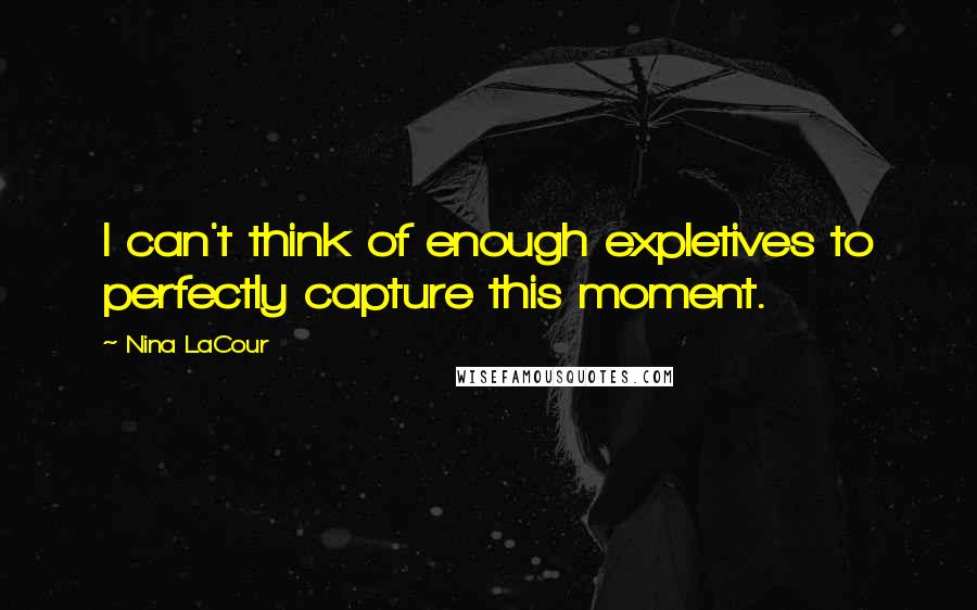 Nina LaCour Quotes: I can't think of enough expletives to perfectly capture this moment.