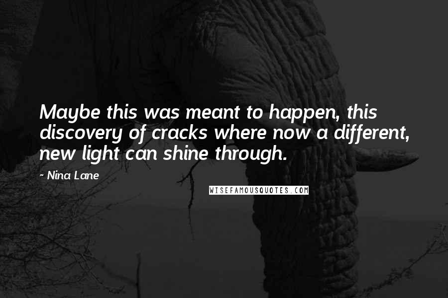 Nina Lane Quotes: Maybe this was meant to happen, this discovery of cracks where now a different, new light can shine through.