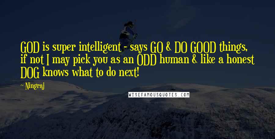 Ningraj Quotes: GOD is super intelligent - says GO & DO GOOD things, if not I may pick you as an ODD human & like a honest DOG knows what to do next!