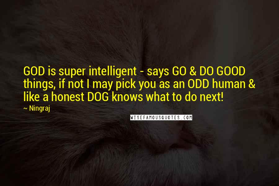 Ningraj Quotes: GOD is super intelligent - says GO & DO GOOD things, if not I may pick you as an ODD human & like a honest DOG knows what to do next!