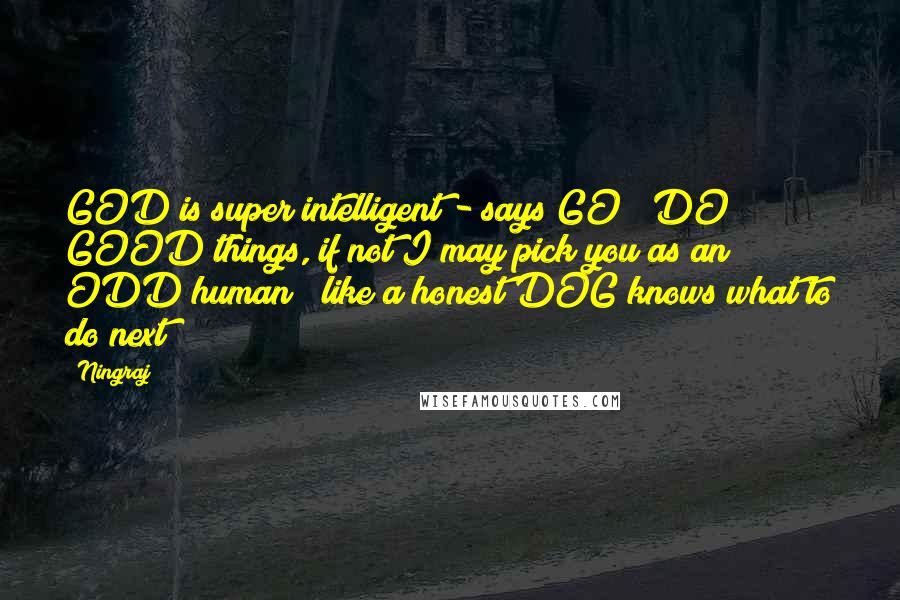 Ningraj Quotes: GOD is super intelligent - says GO & DO GOOD things, if not I may pick you as an ODD human & like a honest DOG knows what to do next!