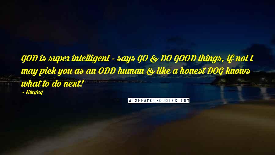 Ningraj Quotes: GOD is super intelligent - says GO & DO GOOD things, if not I may pick you as an ODD human & like a honest DOG knows what to do next!