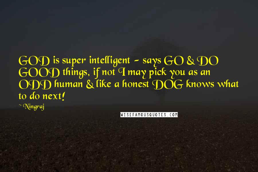 Ningraj Quotes: GOD is super intelligent - says GO & DO GOOD things, if not I may pick you as an ODD human & like a honest DOG knows what to do next!