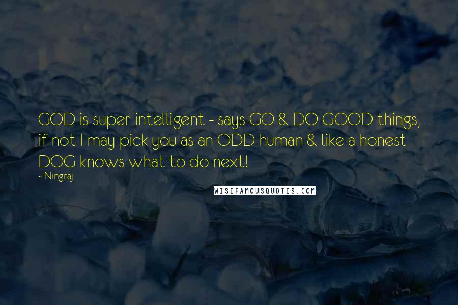 Ningraj Quotes: GOD is super intelligent - says GO & DO GOOD things, if not I may pick you as an ODD human & like a honest DOG knows what to do next!