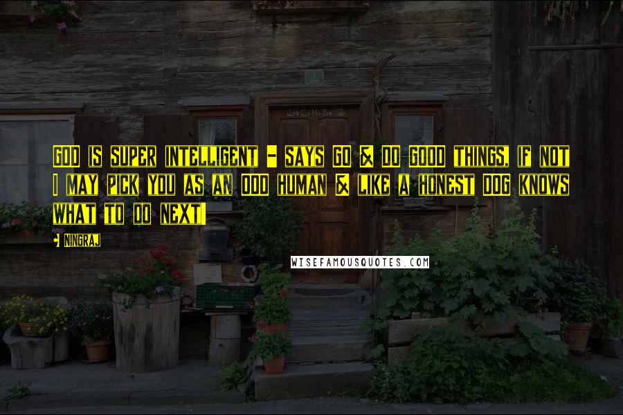 Ningraj Quotes: GOD is super intelligent - says GO & DO GOOD things, if not I may pick you as an ODD human & like a honest DOG knows what to do next!