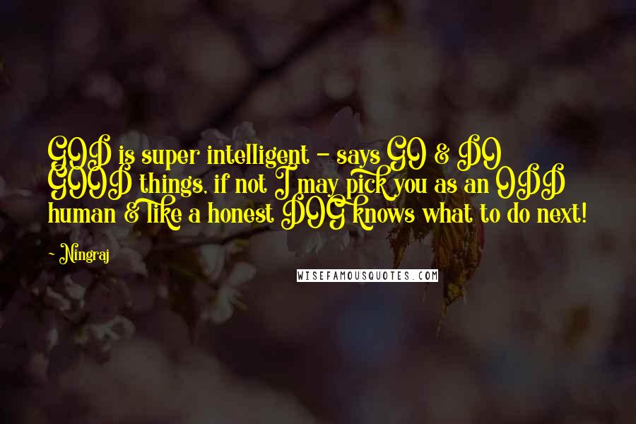 Ningraj Quotes: GOD is super intelligent - says GO & DO GOOD things, if not I may pick you as an ODD human & like a honest DOG knows what to do next!